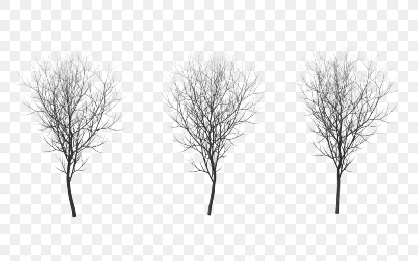Tree Branch Winter Drawing Root, PNG, 1024x640px, Tree, Black And White, Branch, Deviantart, Drawing Download Free