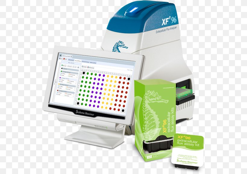 Seahorse Bioscience Analyser Cell Agilent Technologies, PNG, 540x579px, Seahorse, Agilent Technologies, Analyser, Assay, Cell Download Free