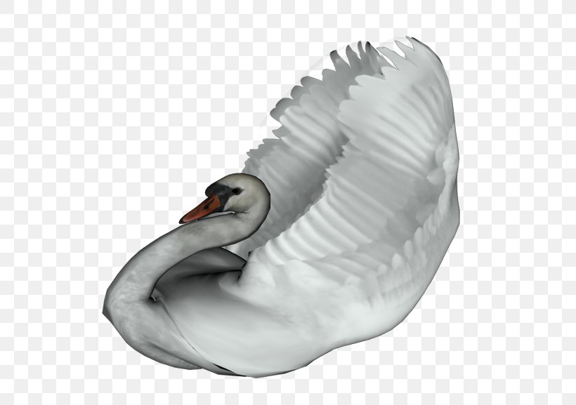 Cygnini Domestic Goose Bird Duck, PNG, 600x577px, Cygnini, Anser, Bird, Domestic Goose, Duck Download Free