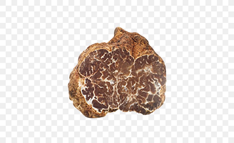 Périgord Black Truffle Piedmont White Truffle Alba La Truffe, PNG, 500x500px, Piedmont White Truffle, Alba, Edible Mushroom, English Oak, Food Download Free