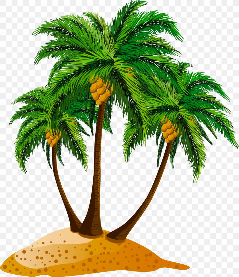 Clip Art Beach Image JPEG, PNG, 1792x2078px, Beach, Arecales, Borassus Flabellifer, Coconut, Date Palm Download Free