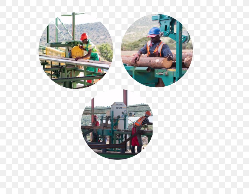 Kwa Thabeng Timbers Lumber Ga-Molepo Sawmill Industry, PNG, 640x640px, Lumber, Industry, Limpopo, Pallet, Plastic Download Free