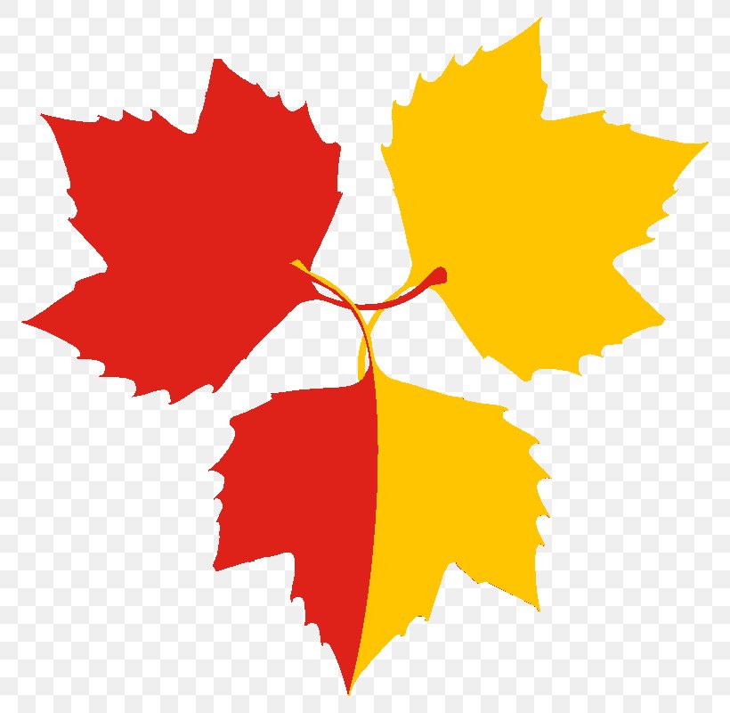 Maple Leaf American Sycamore Heraldry Gules, PNG, 800x800px, Maple Leaf, American Sycamore, Fleurdelis, Flower, Flowering Plant Download Free