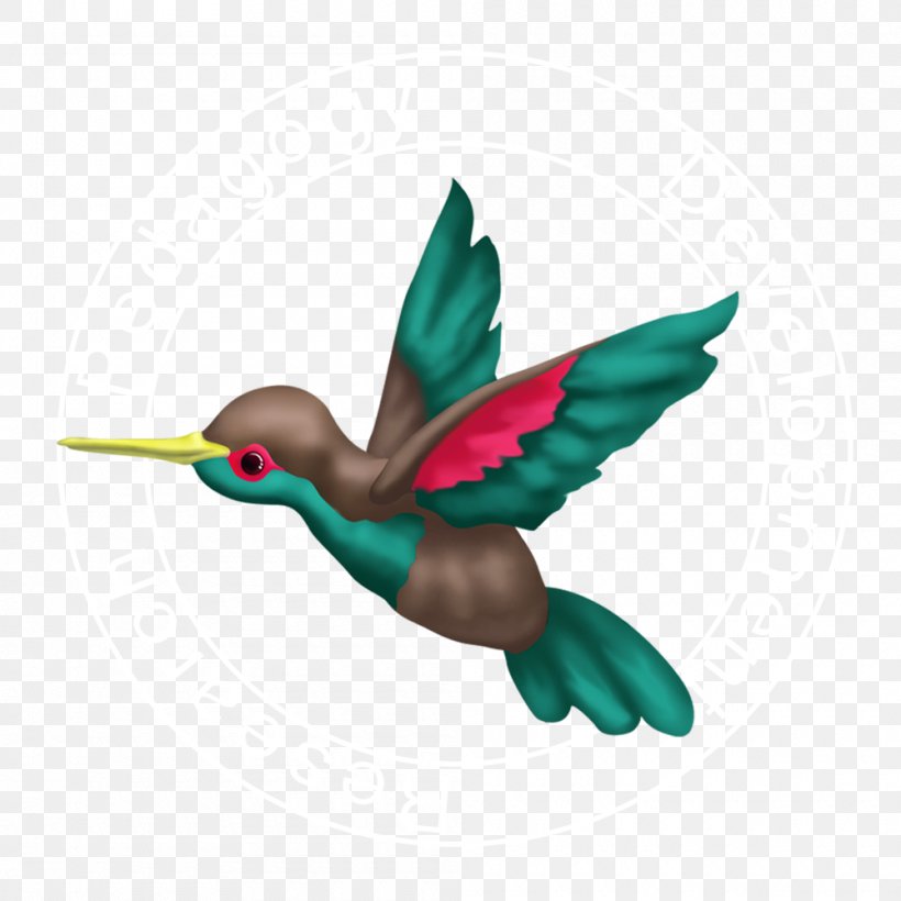 Beak Wing Bird Feather Fauna, PNG, 1000x1000px, Beak, Bird, Fauna, Feather, Hummingbird Download Free