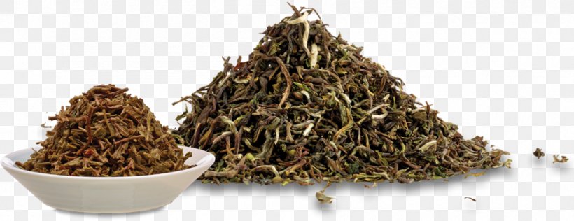 Nilgiri Tea Hōjicha Tea Blending And Additives Cup, PNG, 895x345px, Tea, Assam Tea, Ceylon Tea, Cup, Dianhong Download Free