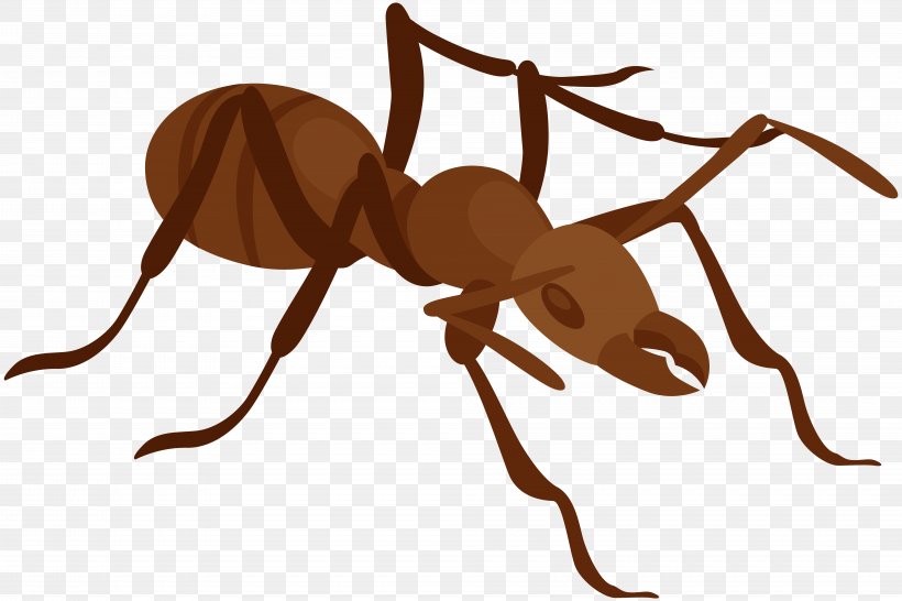Ant Insect Clip Art, PNG, 8000x5335px, Ant, Ant Colony, Arthropod, Cockroach, Fire Ant Download Free