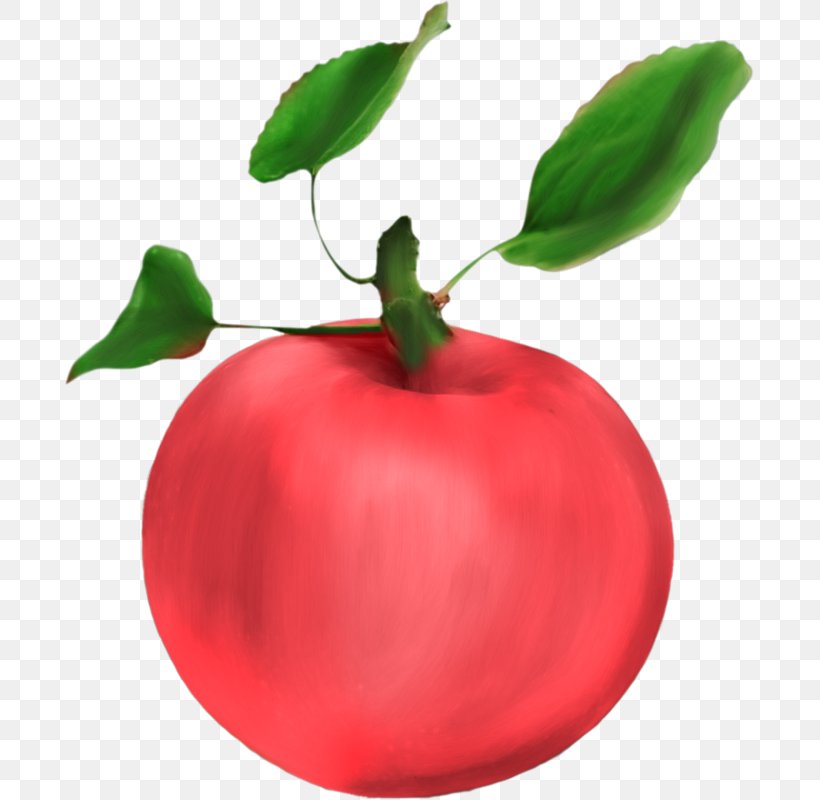Apple Food Fruit Clip Art, PNG, 689x800px, Apple, Acerola, Acerola Family, Bell Pepper, Bell Peppers And Chili Peppers Download Free