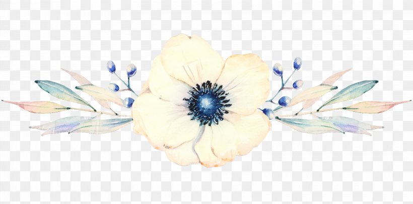 Beige Flower, PNG, 3250x1609px, Montana, Anemone, Beige, Blue, Feather Download Free