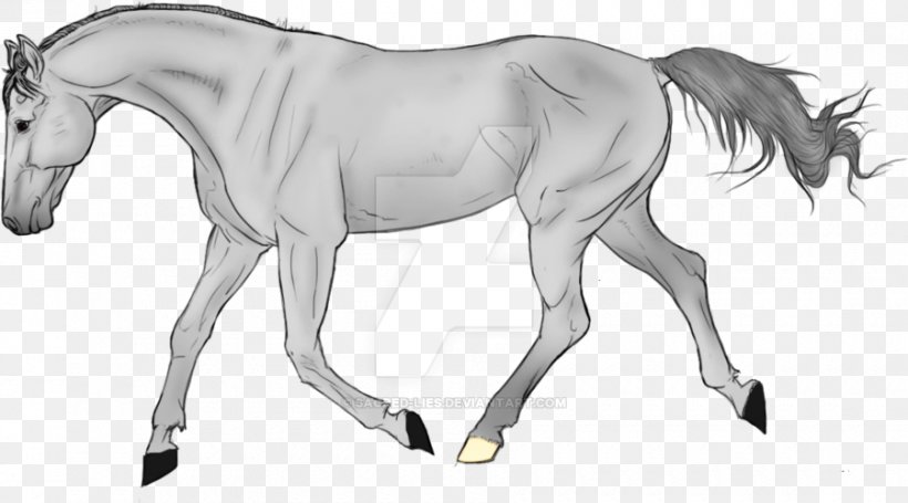 Horse Cartoon, PNG, 900x500px, Foal, Animal Figure, Blackandwhite, Bridle, Colt Download Free