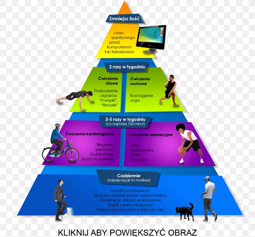 Physical Activity Health Motion Diabetes Mellitus Overweight, PNG, 1343x1249px, Physical Activity, Diabetes Mellitus, Diagram, Health, Lifestyle Download Free