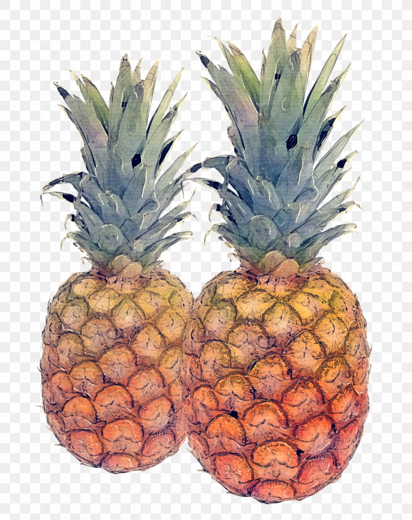 Pineapple, PNG, 1010x1273px, Pineapple, Ananas, Food, Fruit, Natural Foods Download Free