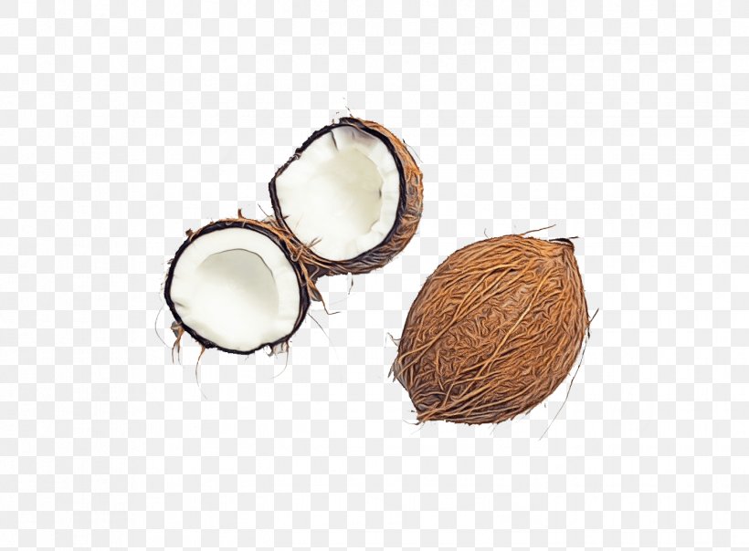 Cake Cartoon, PNG, 1425x1050px, Coconut Water, Coconut, Coconut Cake, Coconut Development Board, Coconut Milk Download Free