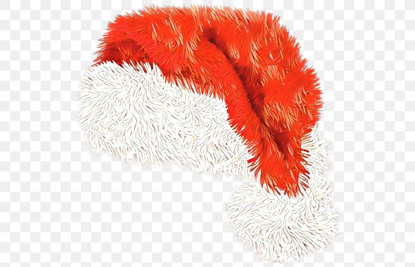 Feather, PNG, 536x529px, Fur, Beanie, Cat Toy, Costume Accessory, Feather Download Free