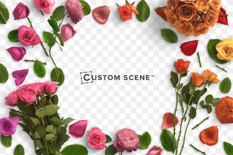 Flower Stock Photography Rose Petal, PNG, 2400x1600px, Flower, Artificial Flower, Creative Market, Cut Flowers, Envato Download Free