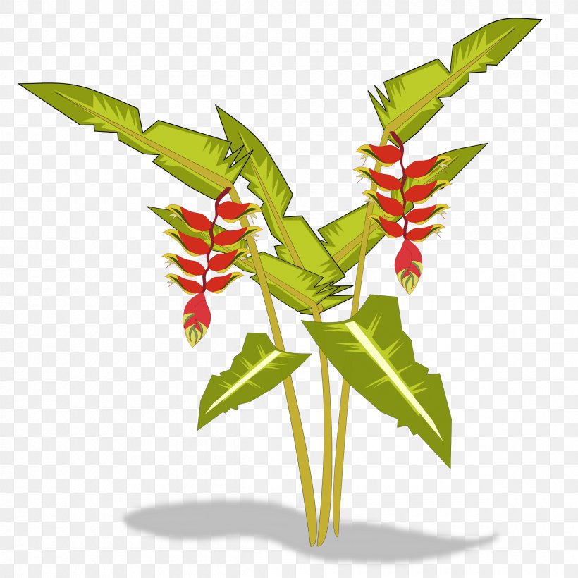 Bird Of Paradise Flower Heliconia Psittacorum Plant Clip Art, PNG, 2400x2400px, Bird Of Paradise Flower, Drawing, Fiddleleaf Fig, Flower, Flowerpot Download Free