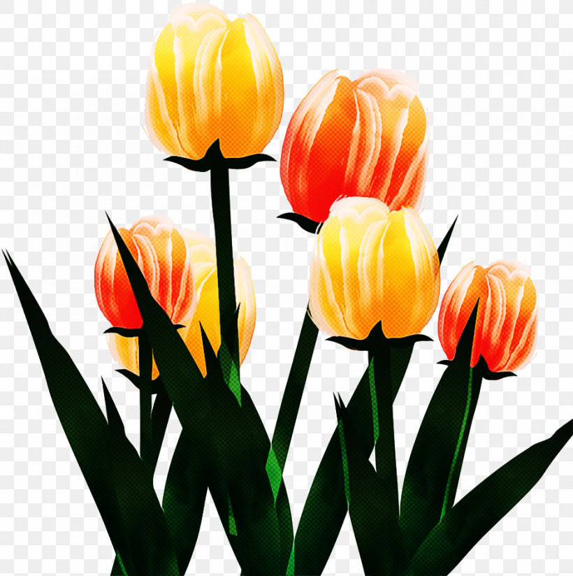 Orange, PNG, 936x941px, Flower, Bud, Cut Flowers, Lady Tulip, Lily Family Download Free
