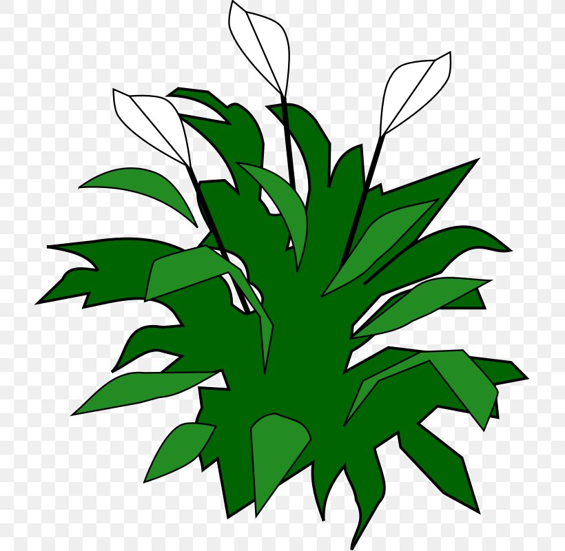 Spathiphyllum Wallisii Favicon Free Content Clip Art, PNG, 800x800px, Spathiphyllum Wallisii, Biological Hazard, Favicon, Flora, Flower Download Free