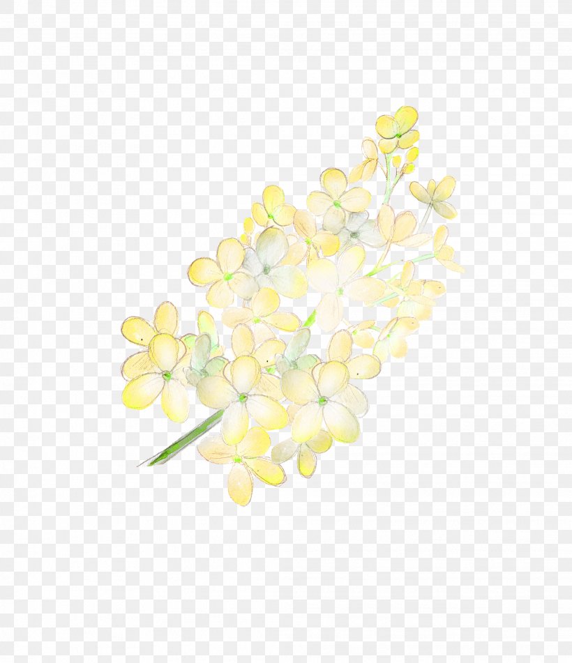 Yellow Download, PNG, 2067x2398px, Yellow, Branch, Color, Designer, Floral Design Download Free