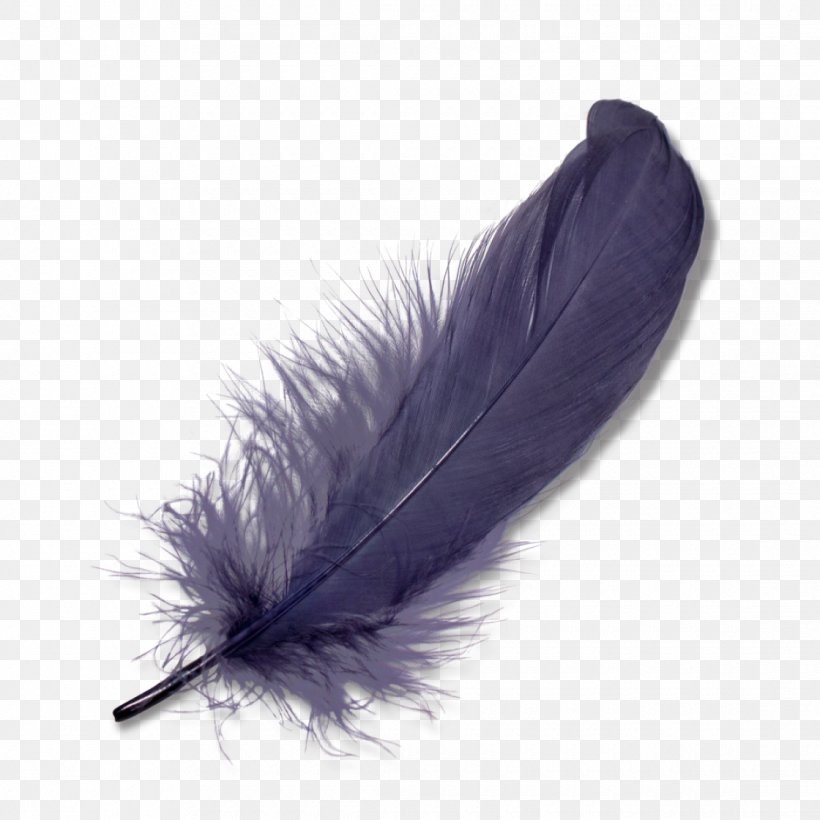 Feather Clip Art, PNG, 1120x1120px, Feather, Color, Hat, Lossless Compression, Quill Download Free