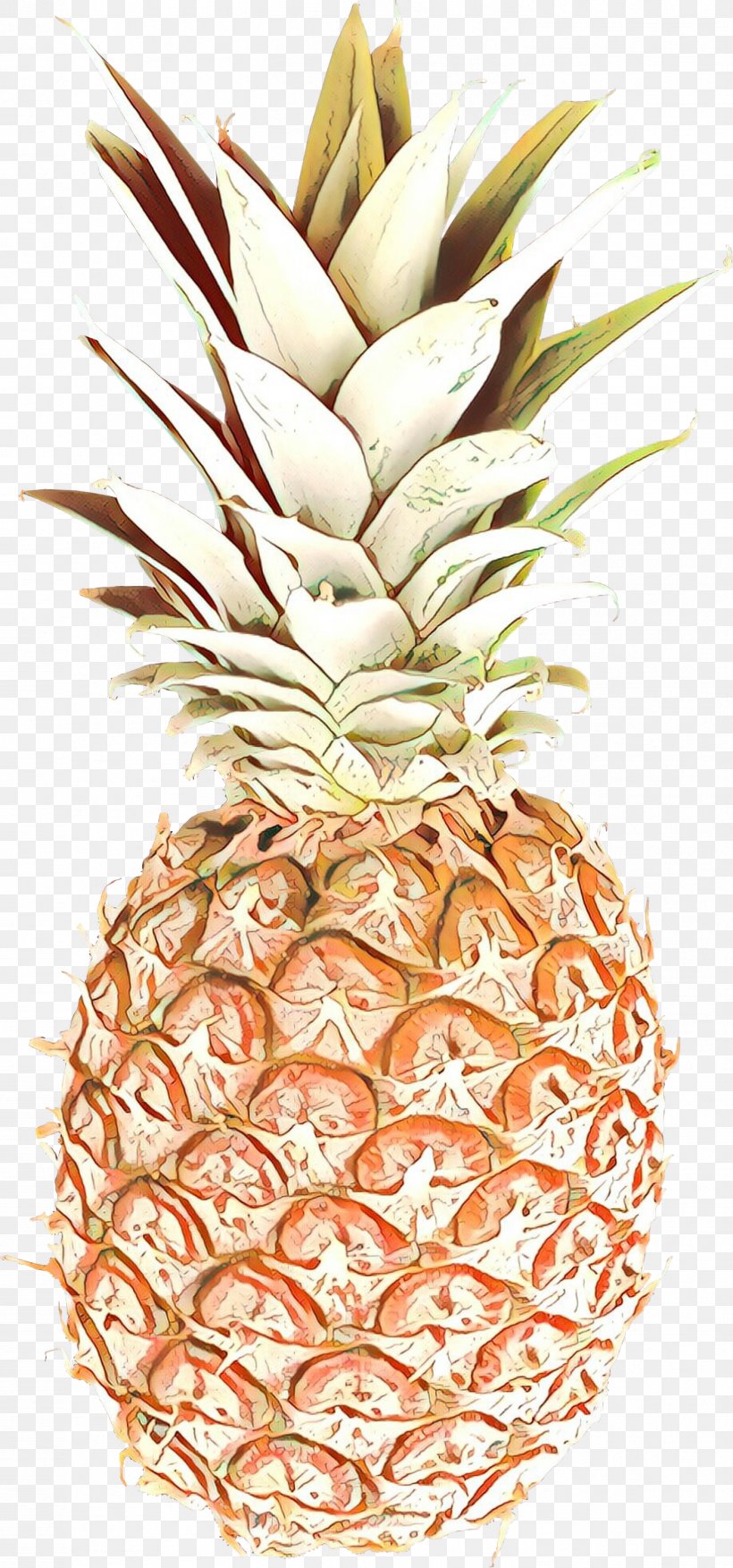 Fruit Cartoon, PNG, 1403x3000px, Pineapple, Ananas, Food, Fruit, Natural Foods Download Free
