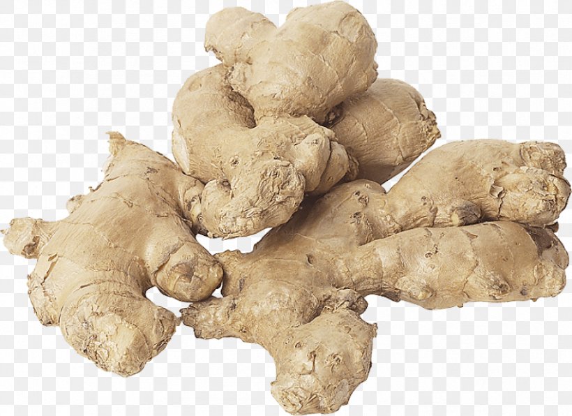 Ginger Food Indian Cuisine Spice Herb, PNG, 851x619px, Ginger, Android Gingerbread, Bay Leaf, Curry, Flavor Download Free
