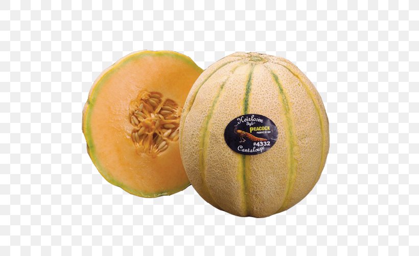 Honeydew Cantaloupe Galia Melon Cucurbita, PNG, 500x500px, Honeydew, Calabaza, Cantaloupe, Cucumber, Cucumber Gourd And Melon Family Download Free