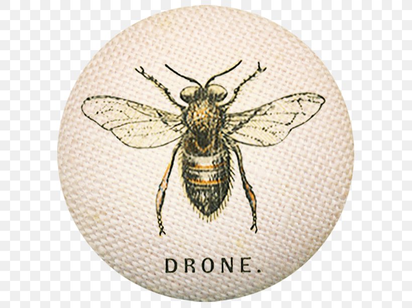 Bee Aircraft Unmanned Aerial Vehicle Drone Quadcopter, PNG, 620x614px, Bee, Arthropod, Drone, Honey Bee, Hymenopterans Download Free