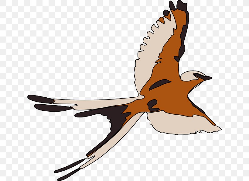 Bird Flight Clip Art, PNG, 640x595px, Bird, Beak, Bird Flight, Drawing, Ducks Geese And Swans Download Free