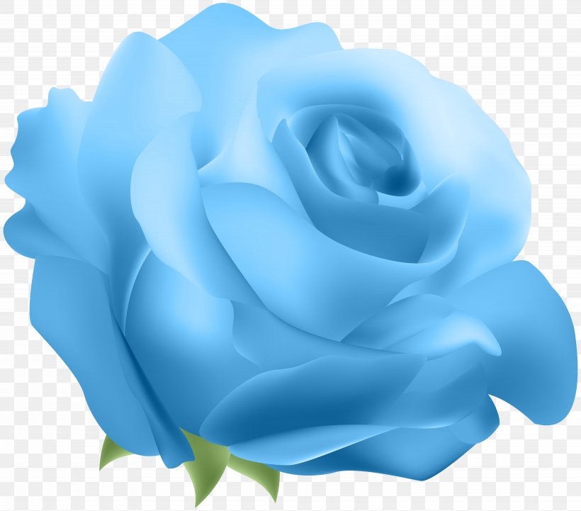 Blue Rose Clip Art, PNG, 8000x7043px, Blue Rose, Blue, Centifolia Roses, Electric Blue, Flower Download Free