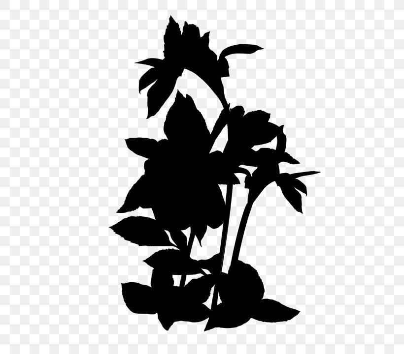 Clip Art Flower Plant Stem Leaf Silhouette, PNG, 540x720px, Flower, Blackandwhite, Botany, Flowering Plant, Leaf Download Free