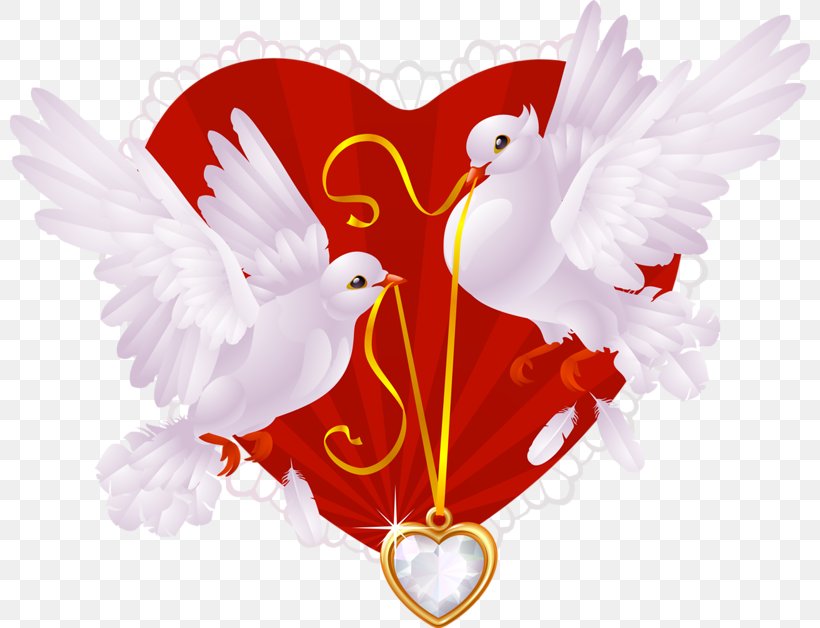 Columbidae Wedding Invitation Illustration, PNG, 800x628px, Columbidae, Beak, Bird, Bridegroom, Chicken Download Free