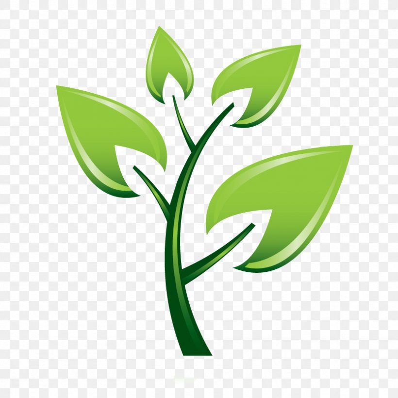 Trees And Shrubs Tree Planting Montrose Tree Services Clip Art, PNG, 833x833px, Tree Planting, Arbor Day, Branch, Brand, Crop Download Free