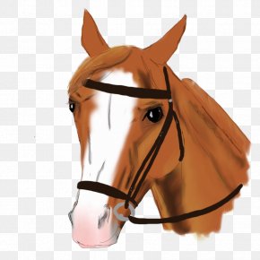 Mustang - Bridle Mustang Stallion Halter Horse Harnesses PNG