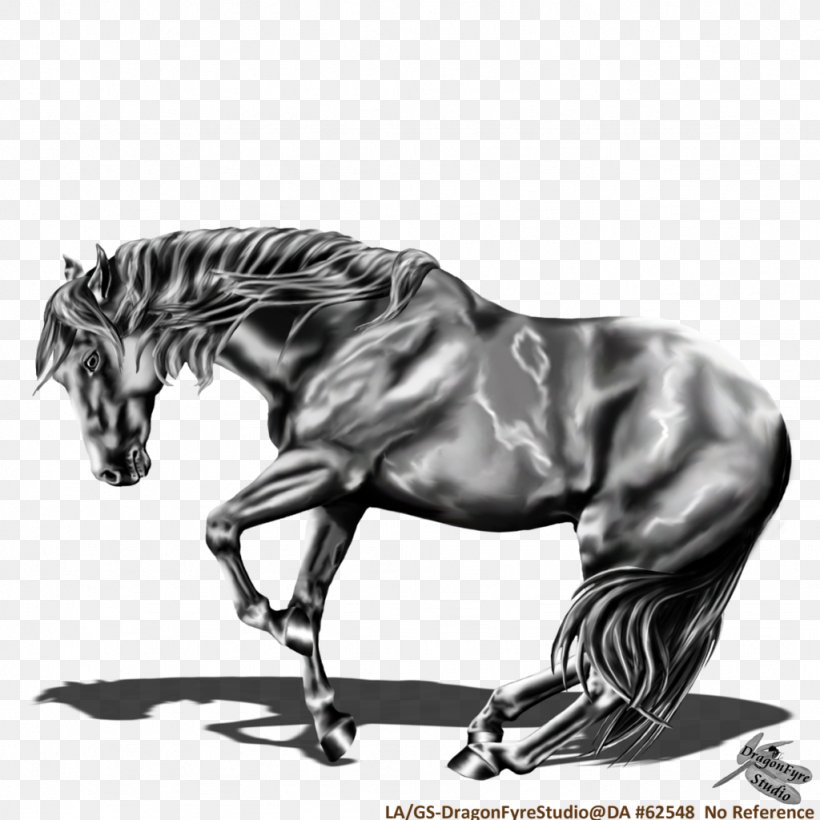 Mane American Quarter Horse Mustang Pony Stallion, PNG, 1024x1024px, Mane, American Quarter Horse, Art, Black And White, Draft Horse Download Free