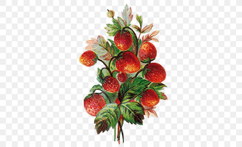 Strawberry Fruit Vegetable Cherry, PNG, 500x500px, Berry, Apricot, Auglis, Cherry, Food Download Free