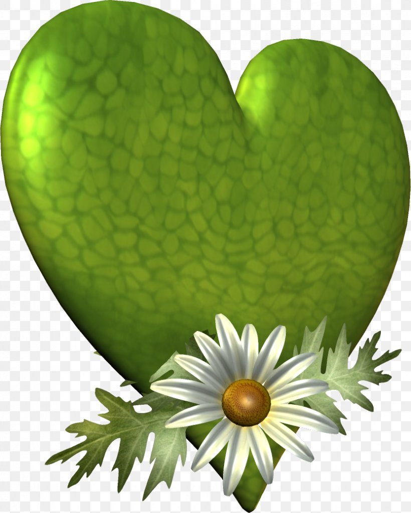 Heart Leaf Clip Art, PNG, 831x1037px, Heart, Flower, Fruit, Grass, Green Download Free