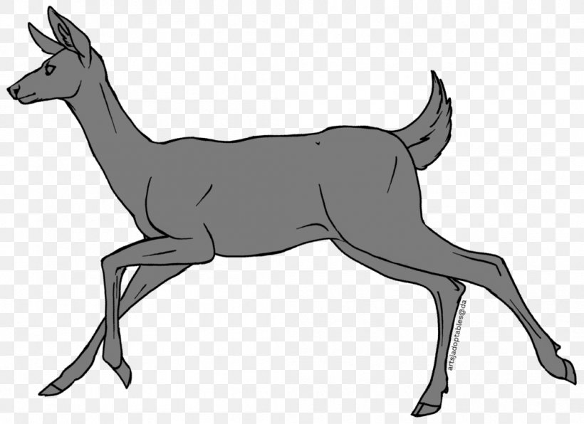 Reindeer Elk Musk Deer Antelope, PNG, 1048x762px, Deer, Animal, Antelope, Antler, Black And White Download Free