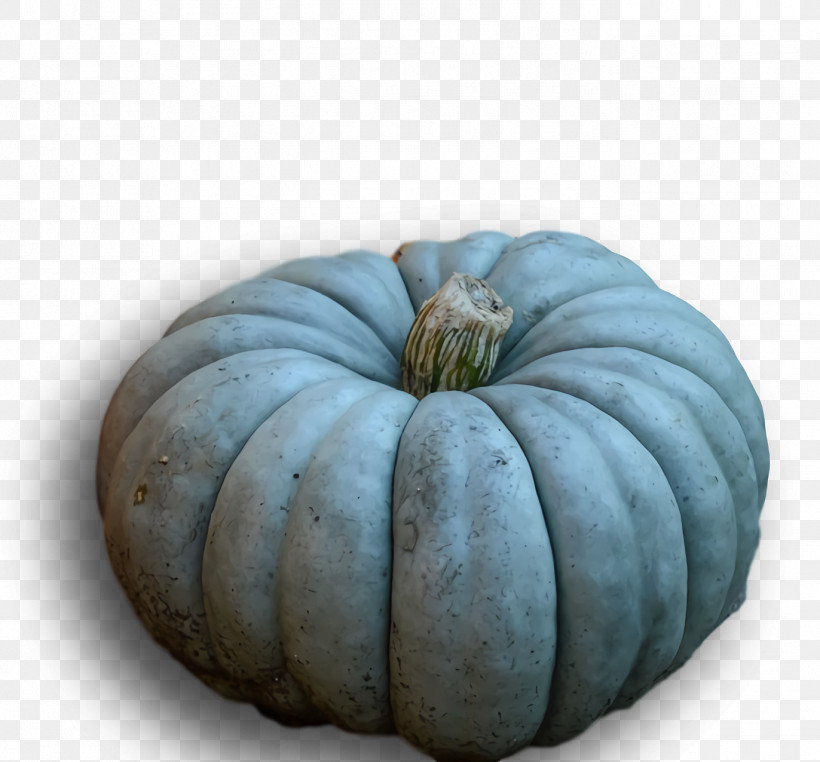 Squash Winter Squash Gourd, PNG, 1372x1276px, Squash, Gourd, Winter Squash Download Free