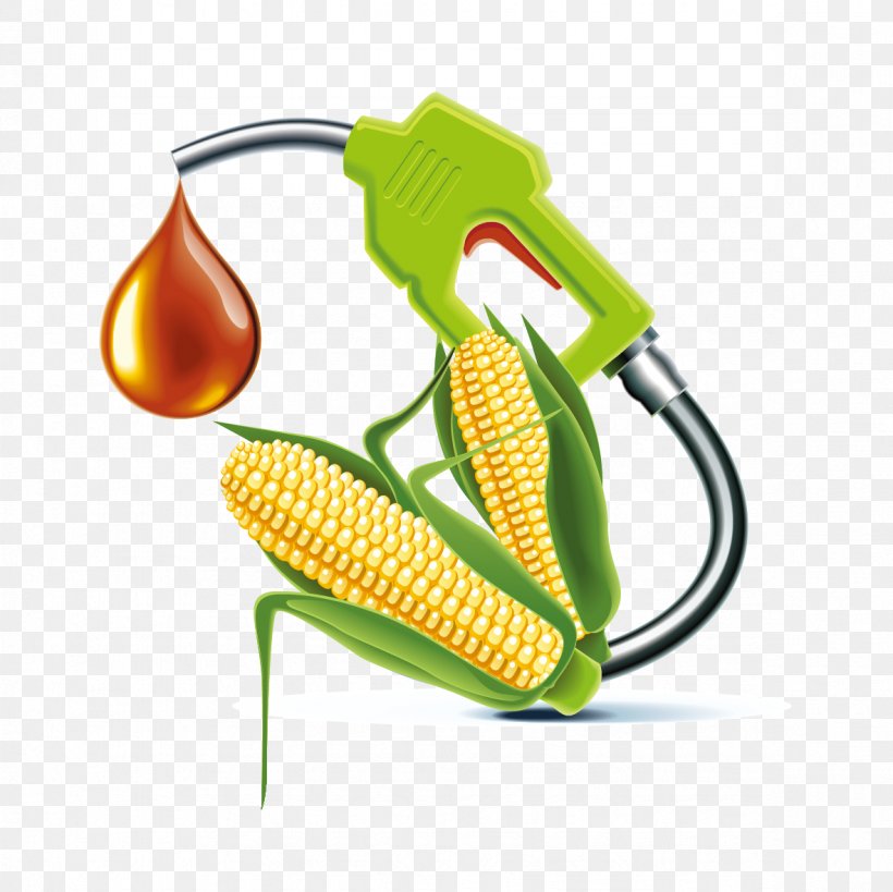 Algae Fuel Biofuel Biodiesel, PNG, 1181x1181px, Algae Fuel, Biodiesel, Biofuel, Fuel, Liquid Download Free