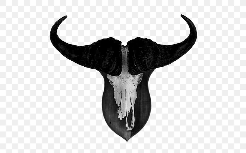 Cattle Skull White Jeffrey Horn, PNG, 512x512px, Cattle, Black And White, Bone, Cattle Like Mammal, Cow Goat Family Download Free