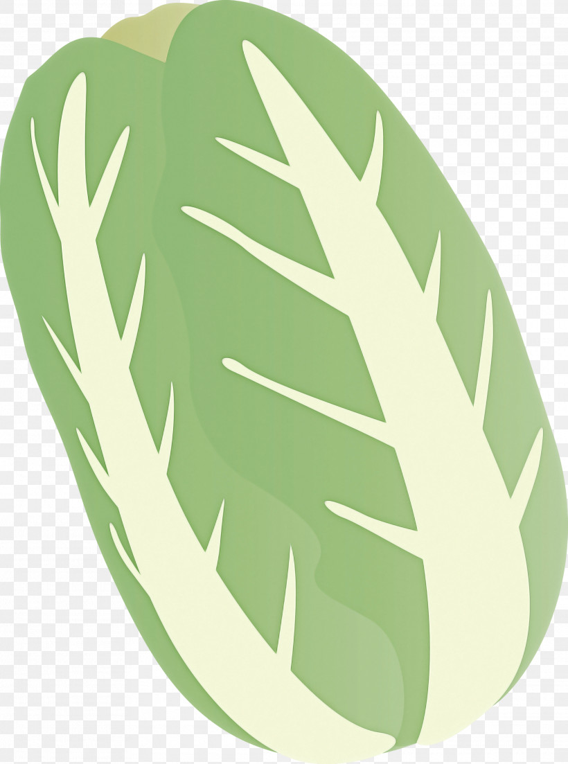 Nappa Cabbage, PNG, 2230x3000px, Nappa Cabbage, Green, Leaf, Leaf Vegetable, Monstera Deliciosa Download Free