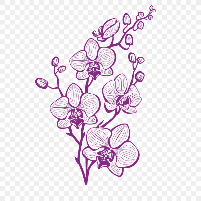 Hand Painted Purple Orchid Vector, PNG, 1500x1500px, Orchids, Branch, Color, Flora, Floral Design Download Free