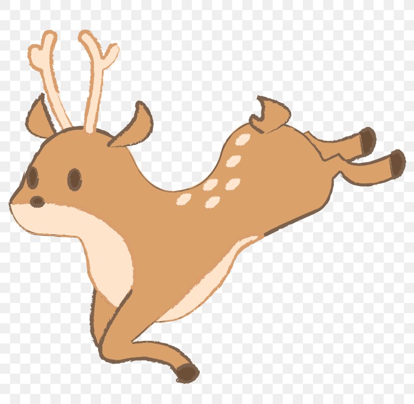 Reindeer Cat Dog Rabbit, PNG, 800x800px, Deer, Animal, Animal Figure, Antler, Black Cat Download Free