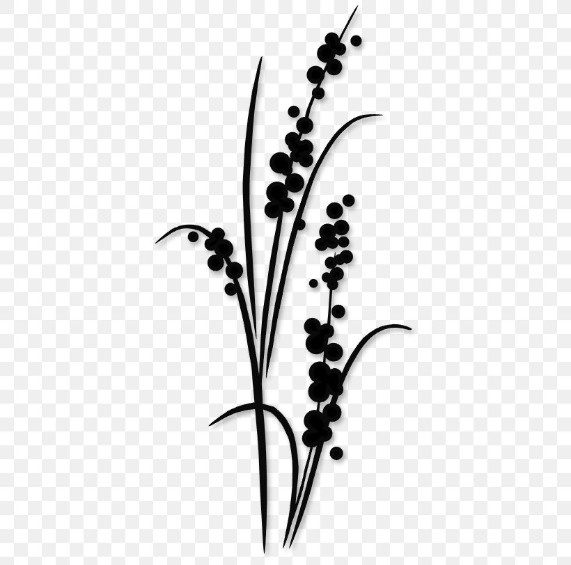 Silhouette Stencil Drawing Flower, PNG, 392x812px, Silhouette, Art, Black And White, Branch, Drawing Download Free