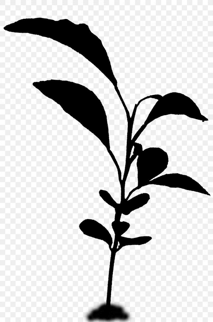 Twig Plant Stem Flower Leaf Silhouette, PNG, 1000x1510px, Twig, Blackandwhite, Botany, Branch, Flower Download Free