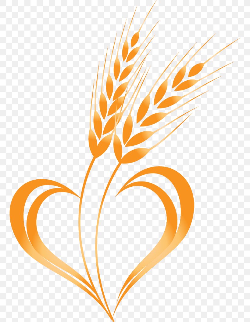 Wheat Cereal Clip Art, PNG, 758x1054px, Wheat, Cereal, Commodity, Drawing, Ear Download Free