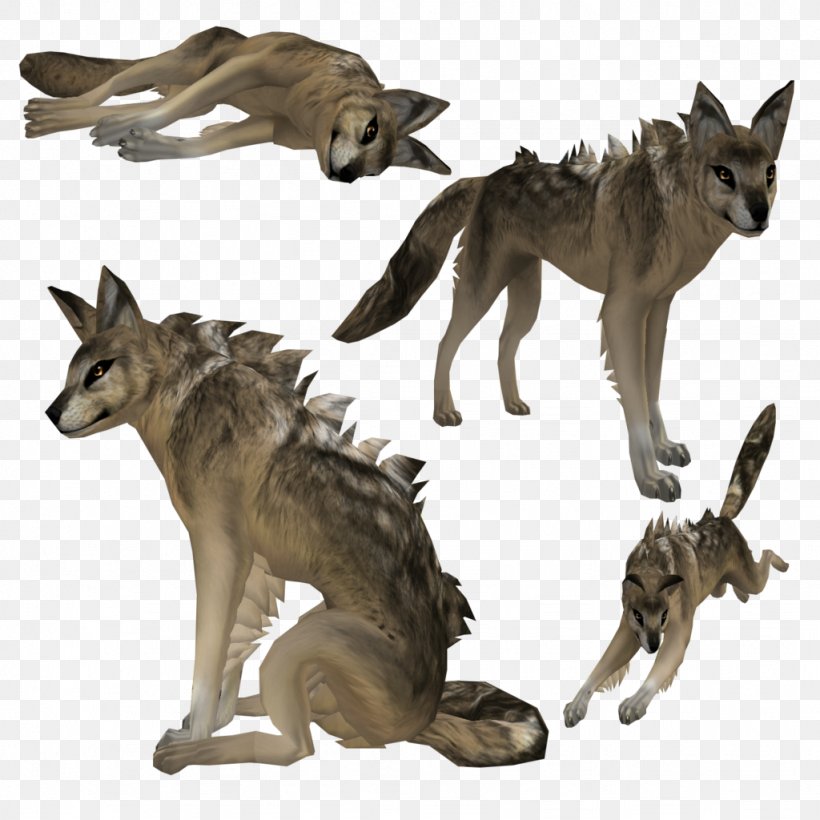 Coyote Border Collie Jackal Rough Collie Gray Wolf, PNG, 1024x1024px, Coyote, Art, Border Collie, Canis, Carnivoran Download Free