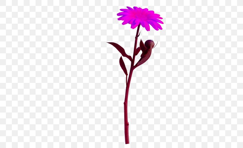 Flower Animation Clip Art, PNG, 500x500px, Flower, Animation, Blog, Carnation, Cut Flowers Download Free