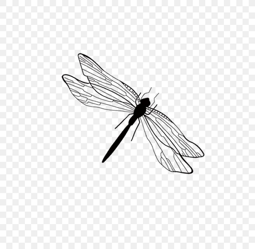 Ink Wash Painting Dragonfly Illustration, PNG, 800x800px, Ink Wash Painting, Arthropod, Black And White, Cartoon, Dragonfly Download Free