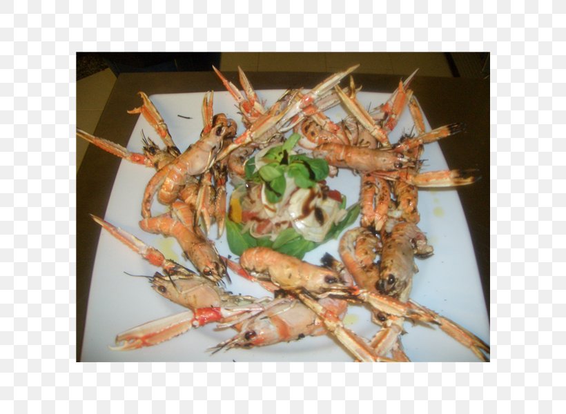 Prawns Skewer Recipe Dish, PNG, 600x600px, Prawns, Animal Source Foods, Brochette, Decapoda, Dendrobranchiata Download Free